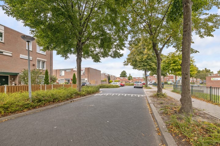 Foto 44 van Griend 25 9