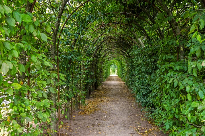 Foto 58 van Willem Schuurmanlaan 1