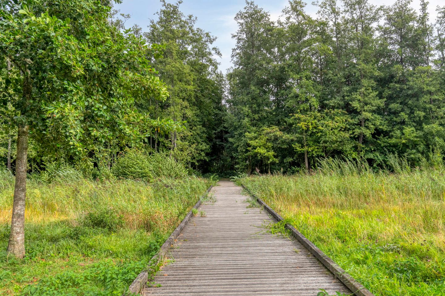 Foto 34 van Puccinistraat 12