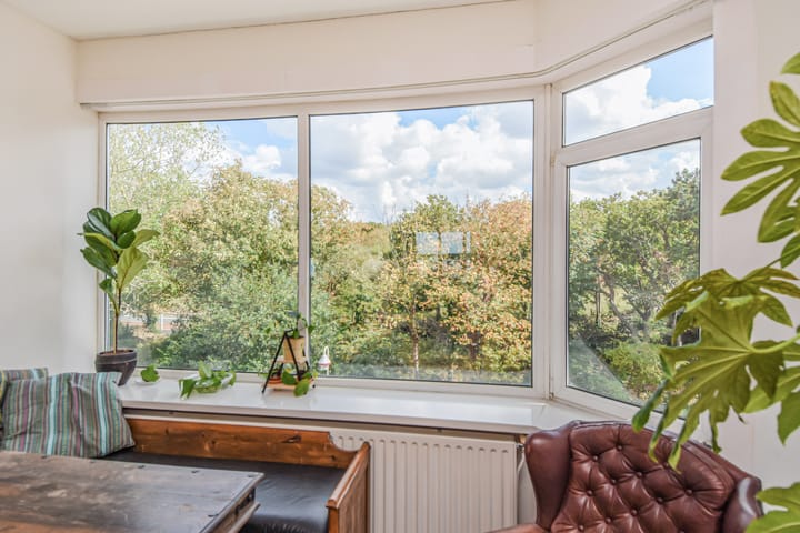 Foto 13 van Tholensestraat 161