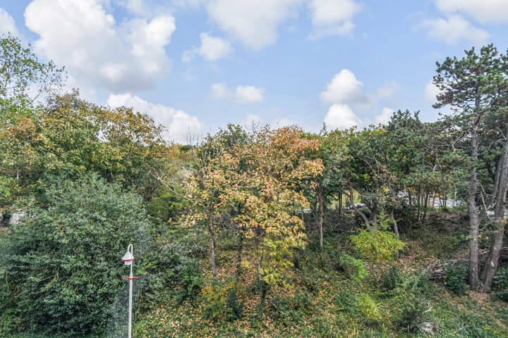 Foto 14 van Tholensestraat 161