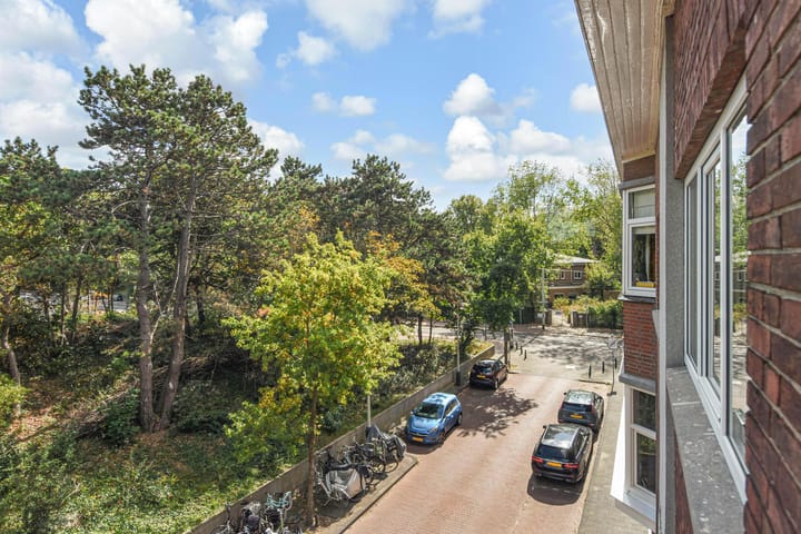 Foto 15 van Tholensestraat 161