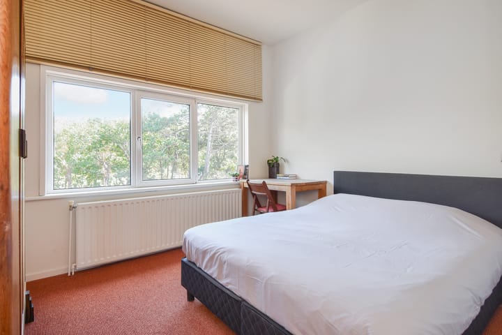 Foto 41 van Tholensestraat 161