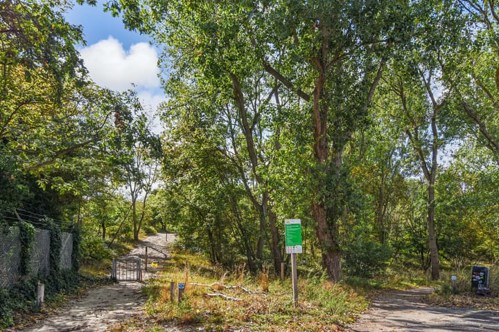 Foto 43 van Tholensestraat 161