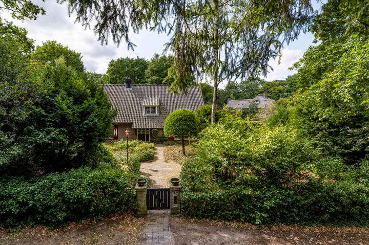 Foto 4 van Het Domein 2