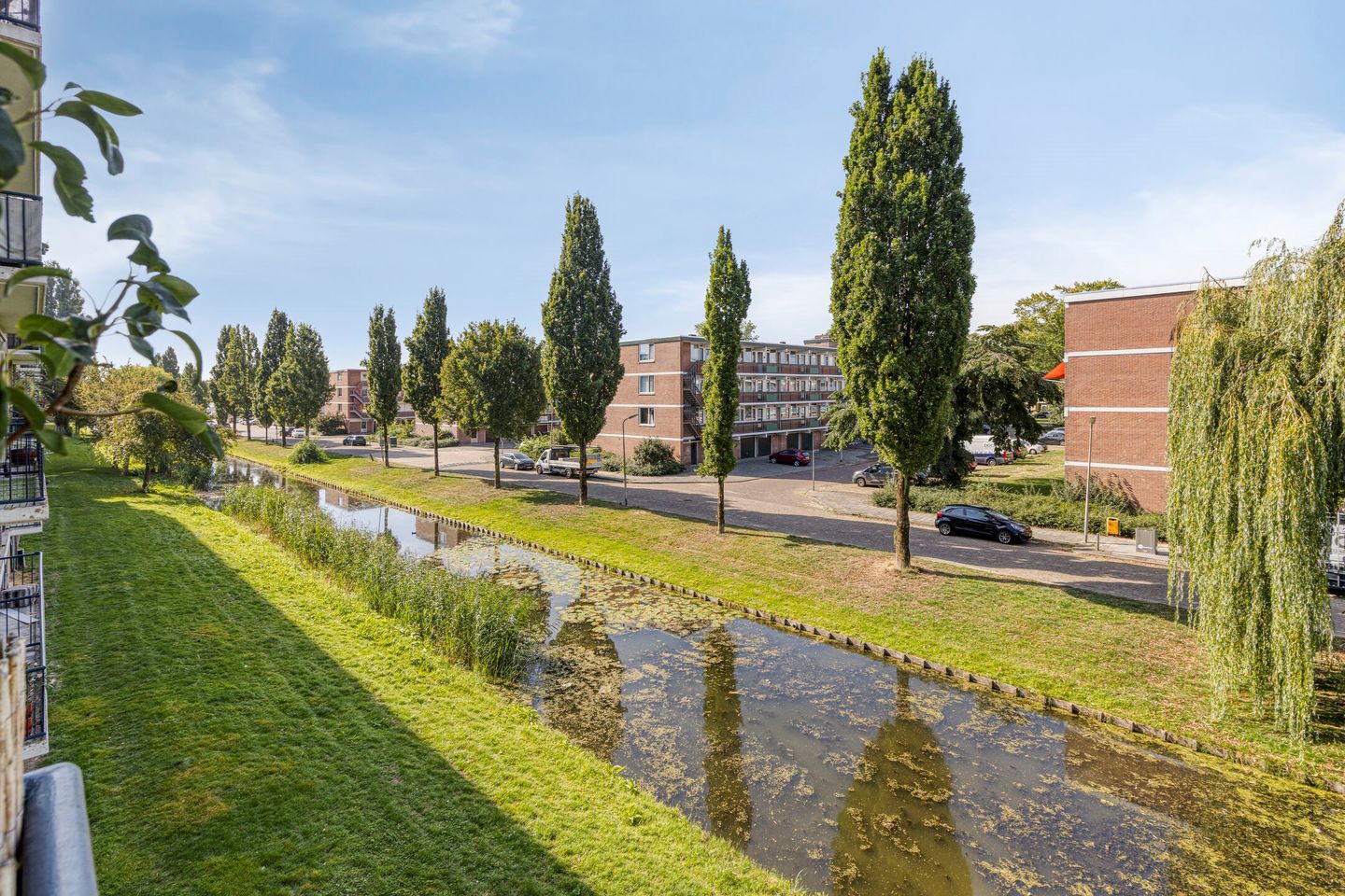 Foto 14 van Dahliastraat 256