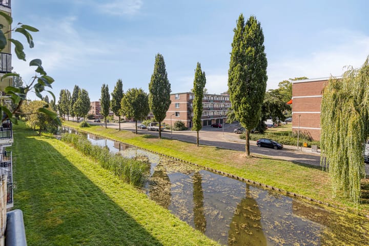 Photo 14 of Dahliastraat 256