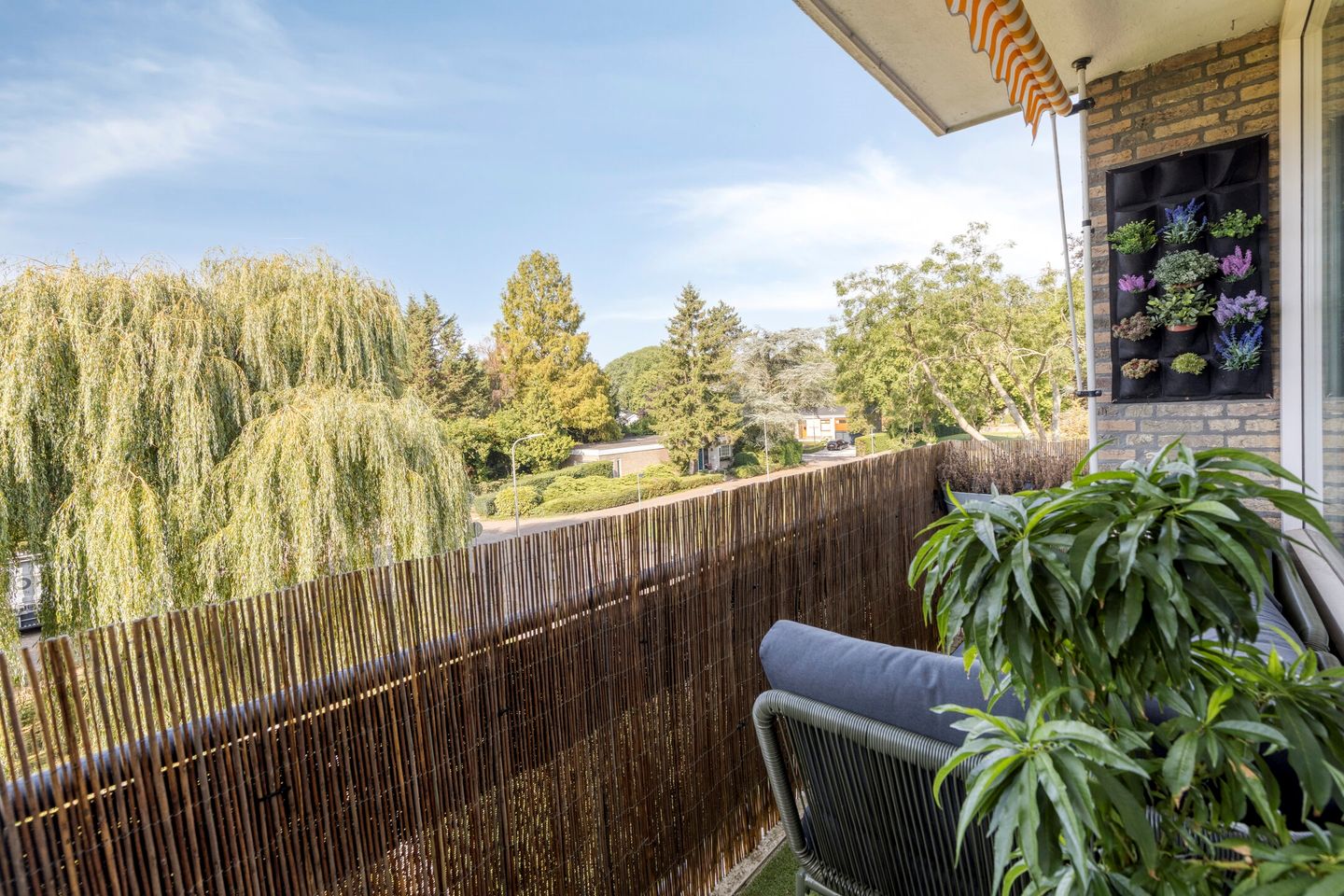 Foto 5 van Dahliastraat 256