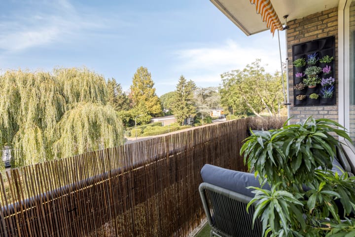 Foto 5 van Dahliastraat 256