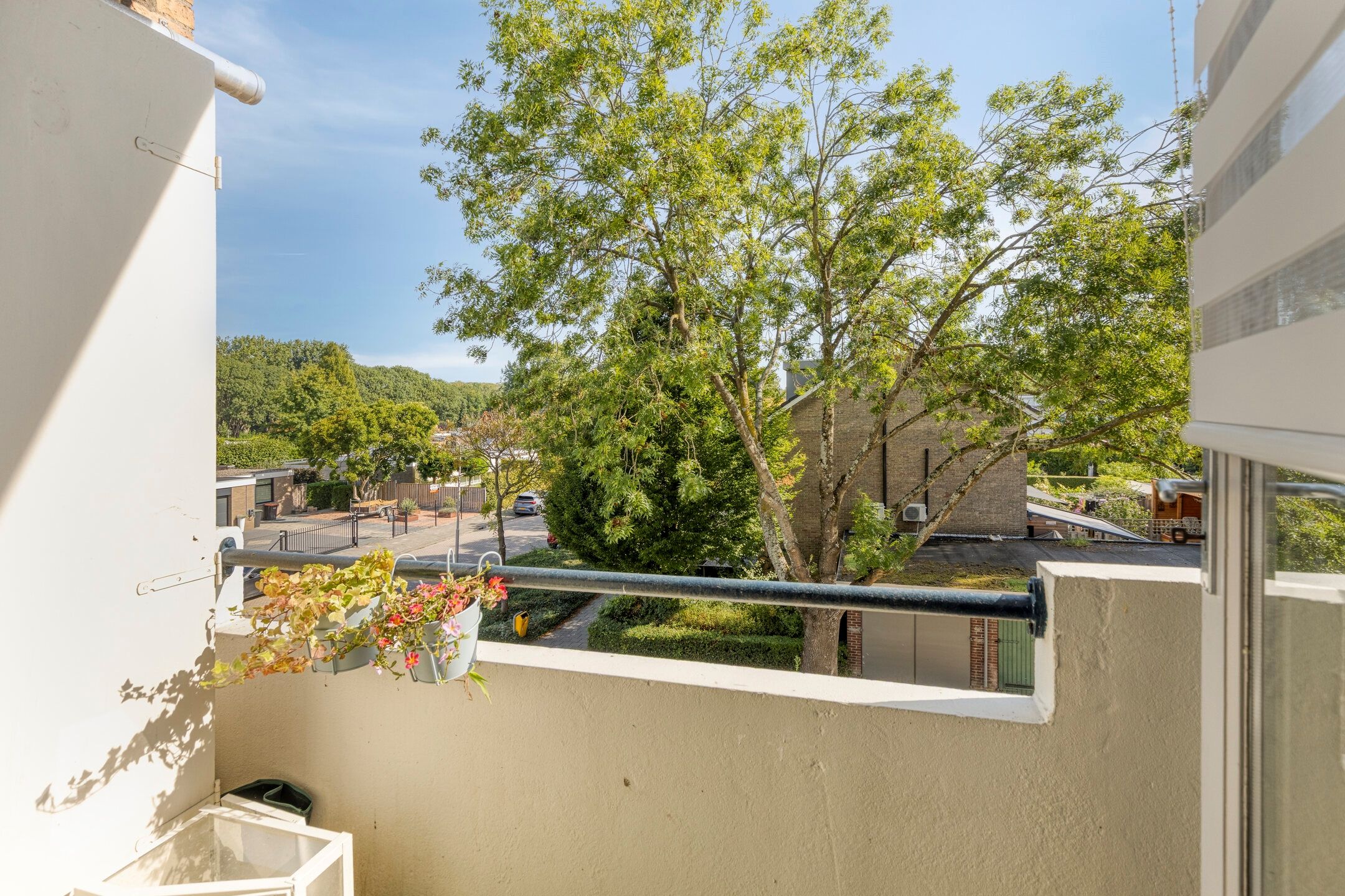 Foto 18 van Dahliastraat 256