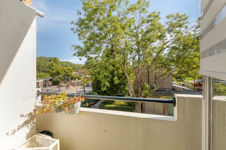 Photo 18 of Dahliastraat 256