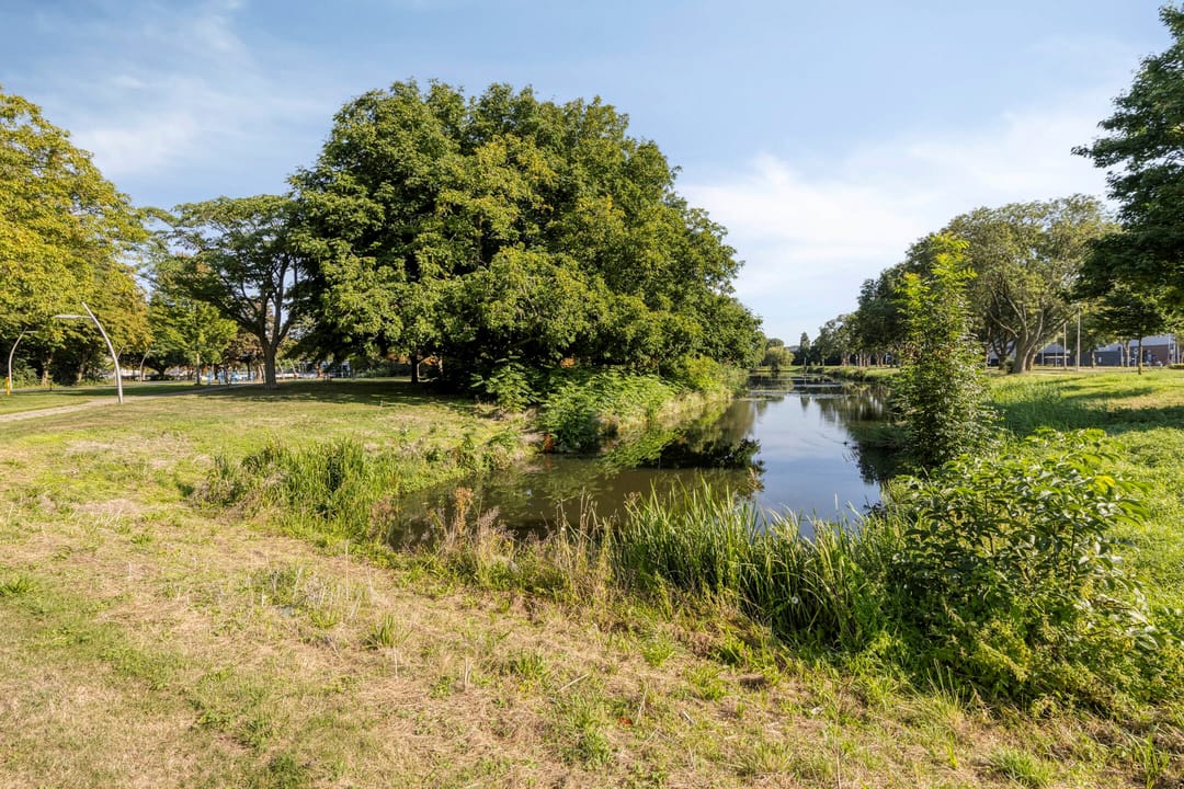 Foto 26 van Dahliastraat 256