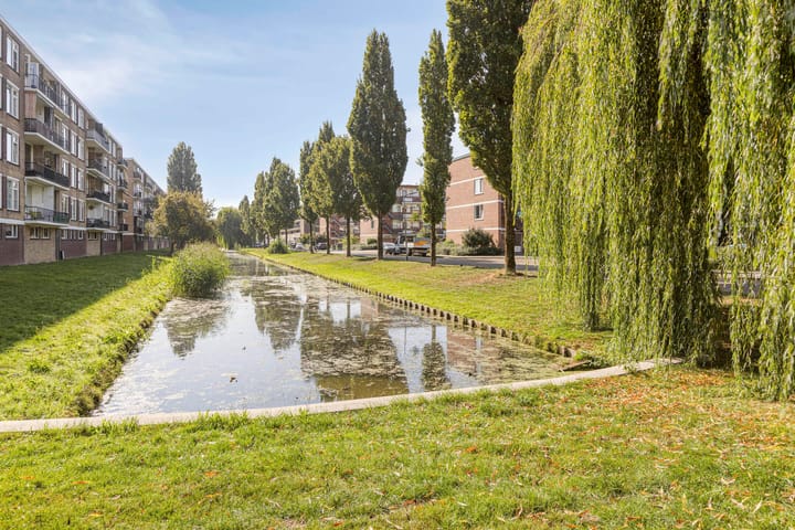 Photo 25 of Dahliastraat 256