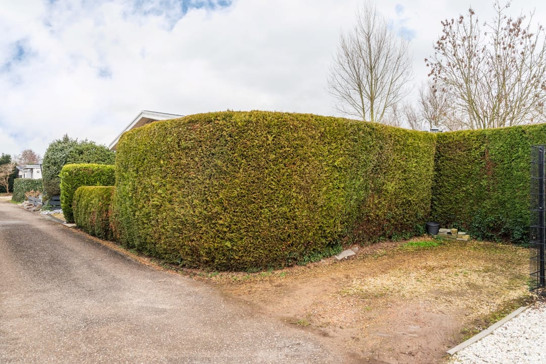 Photo 22 of Rijnbandijk 111-60