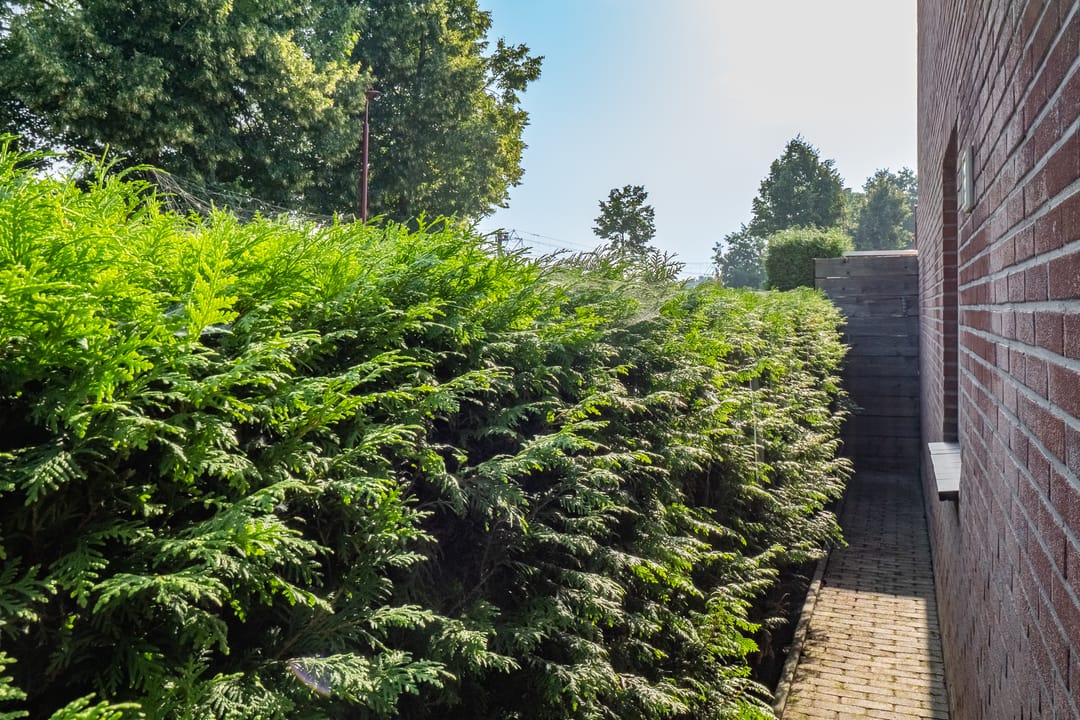 Photo 37 of Saxofoonlaan 32