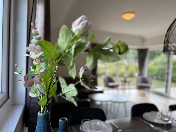 Foto 11 van van Haestrechtstraat 24-202