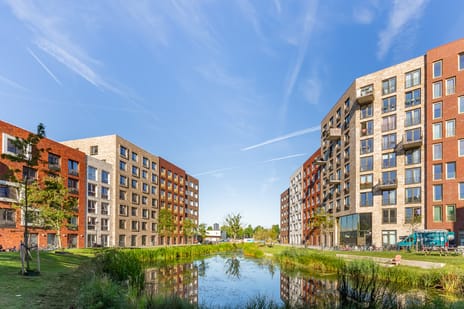 Yours - Callisto main image