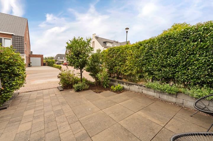 Foto 9 van Lijnpad 65