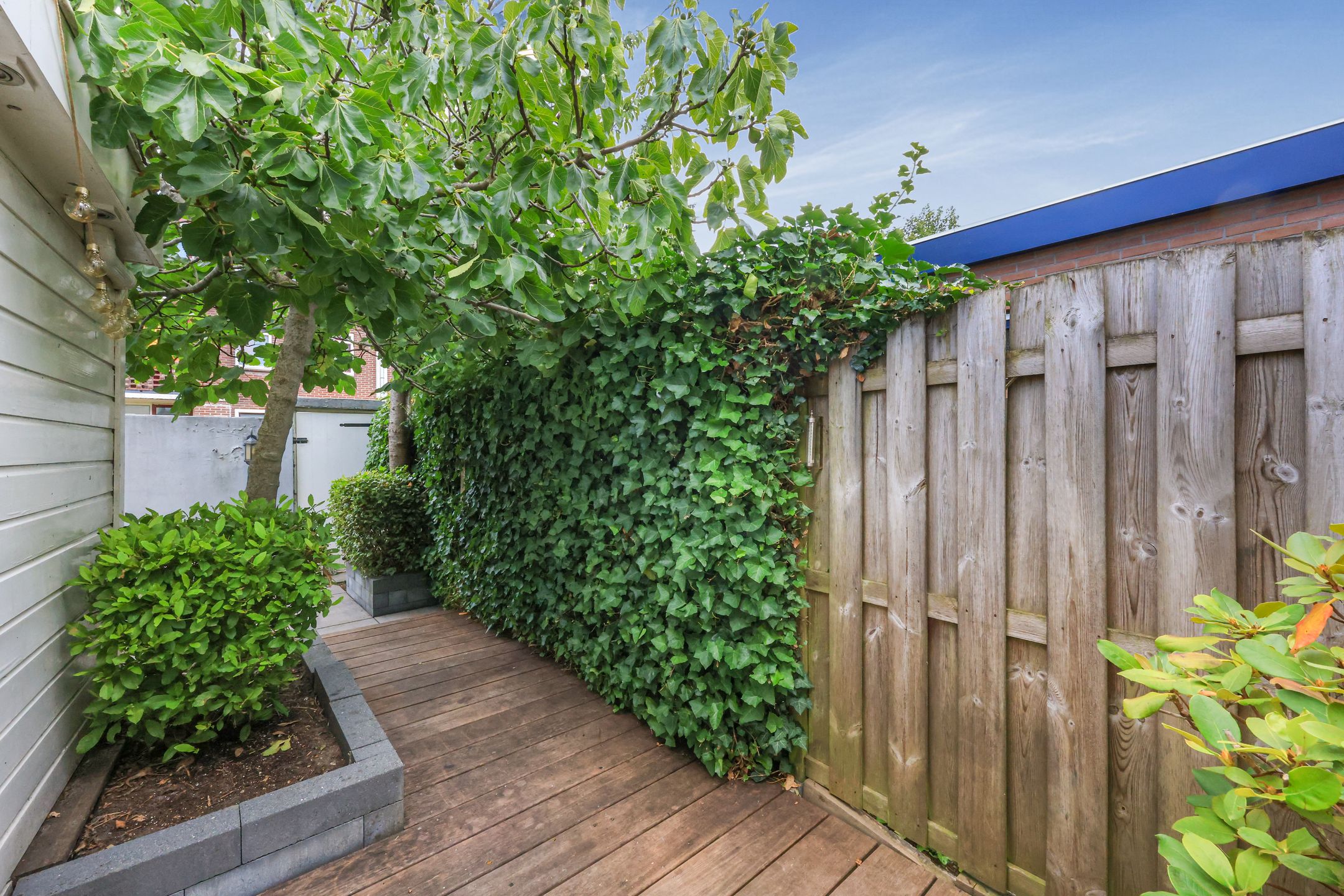 Foto 33 van Verenigingstraat 33