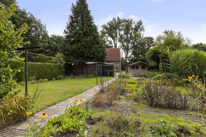 Foto 20 van Midden 53