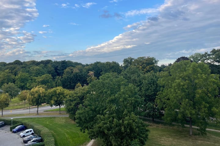 Foto 17 van Rommestraat 167