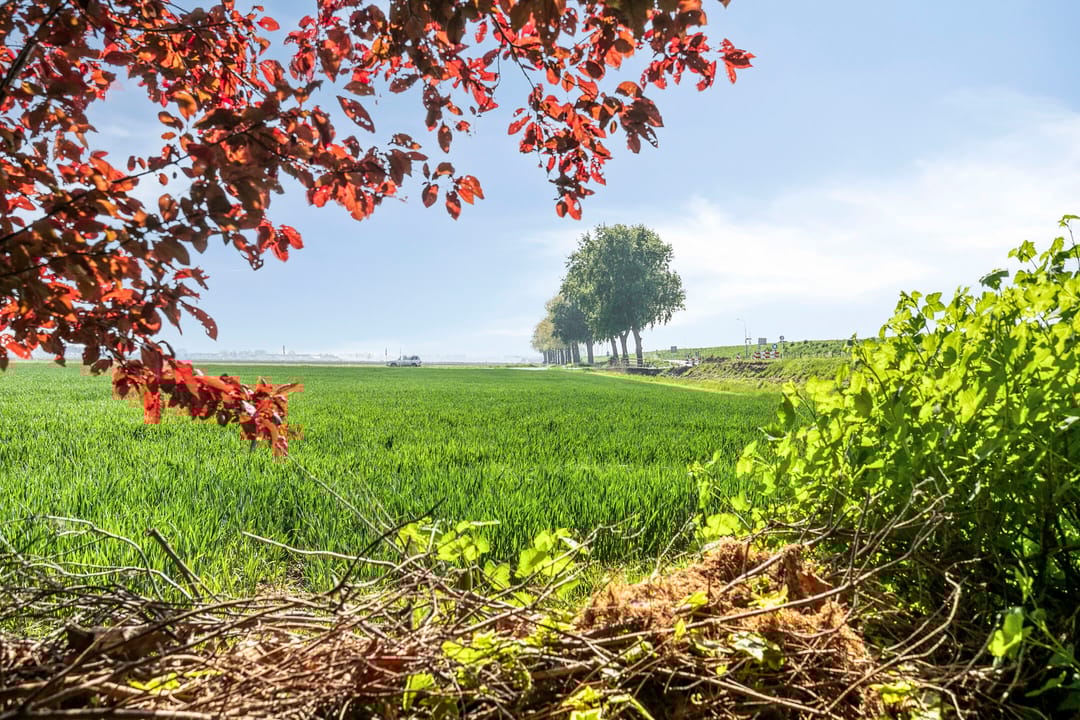 Photo 53 of Nieuwendijk 2