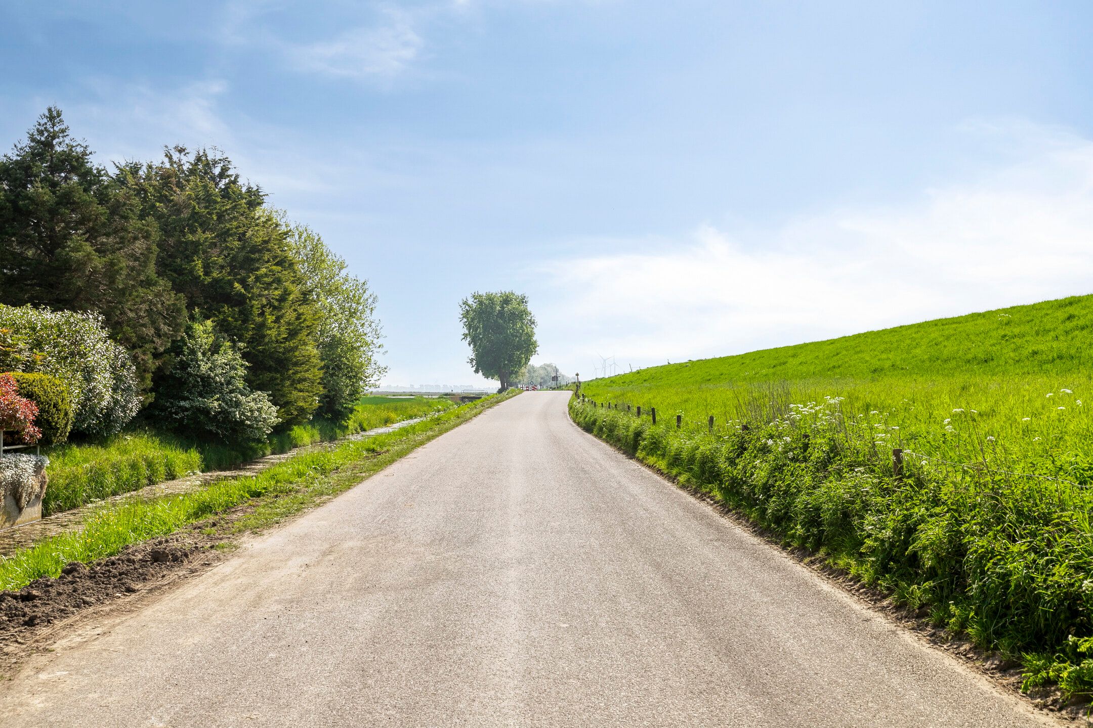 Photo 60 of Nieuwendijk 2