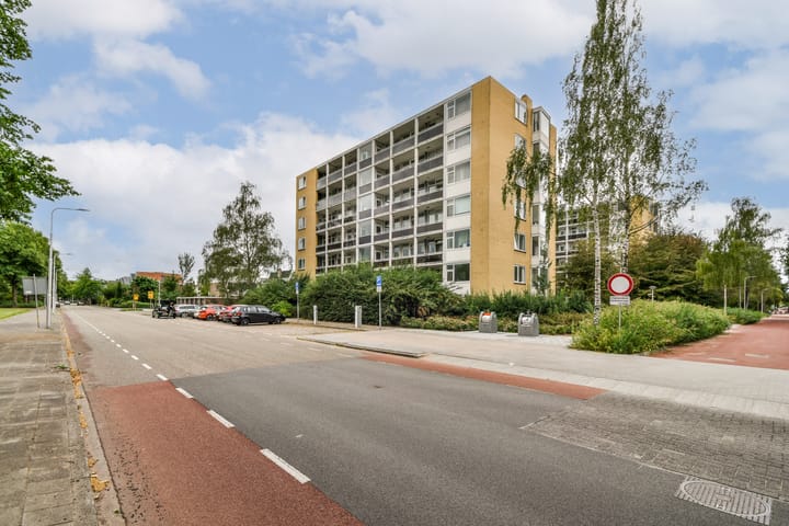 Foto 21 van Van Heuven Goedhartlaan 334