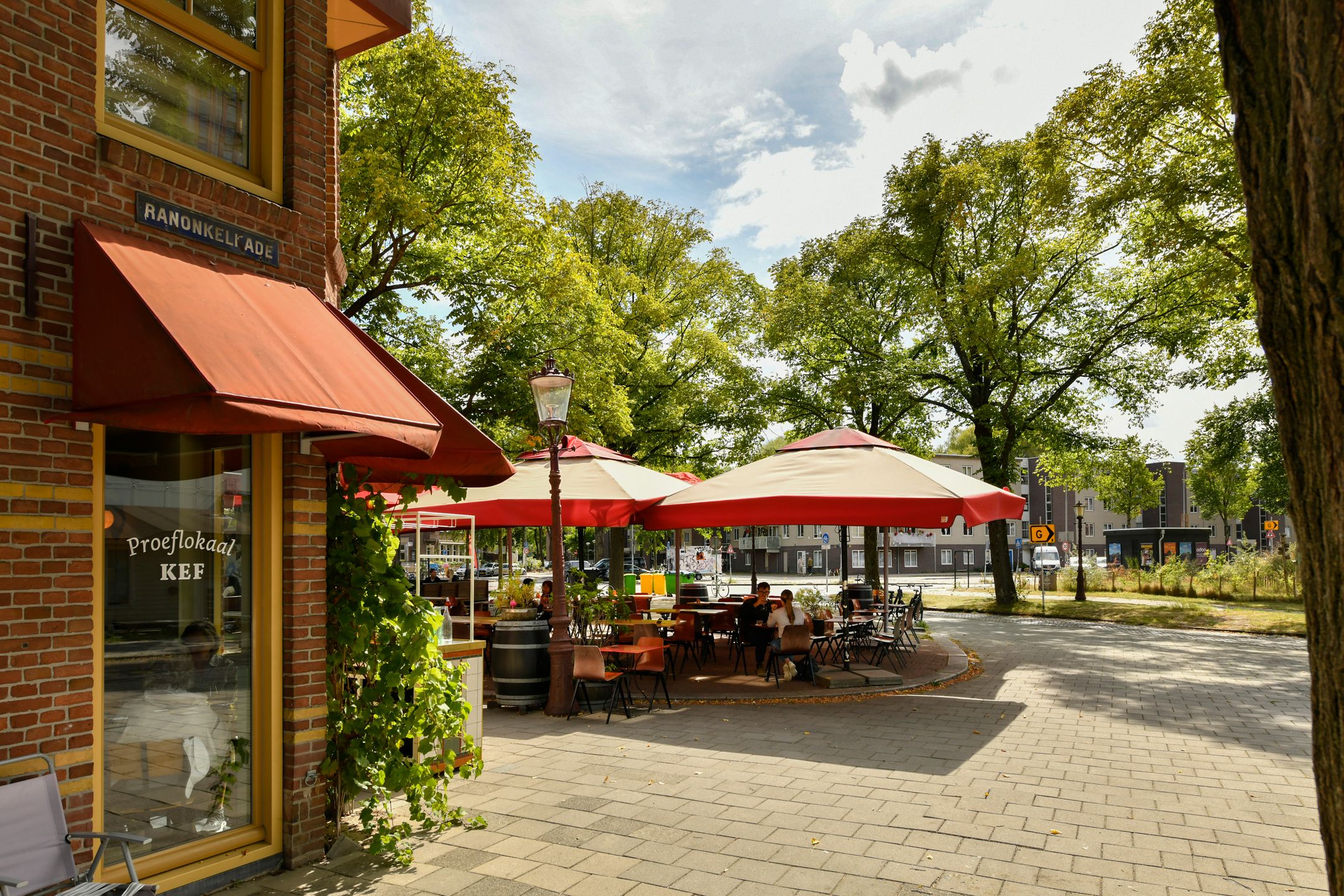 Foto 21 van Ranonkelkade 6-B