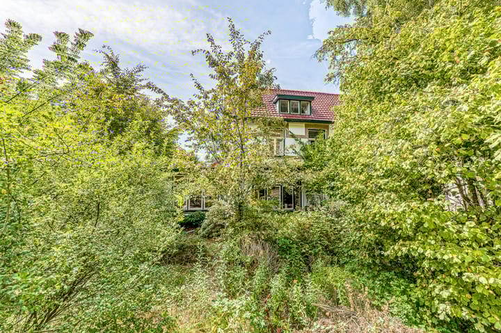 Foto 53 van Driebergsestraatweg 45