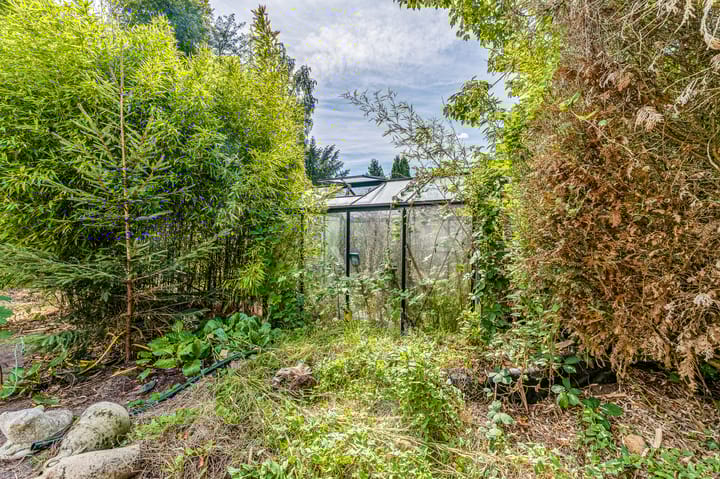 Foto 51 van Driebergsestraatweg 45