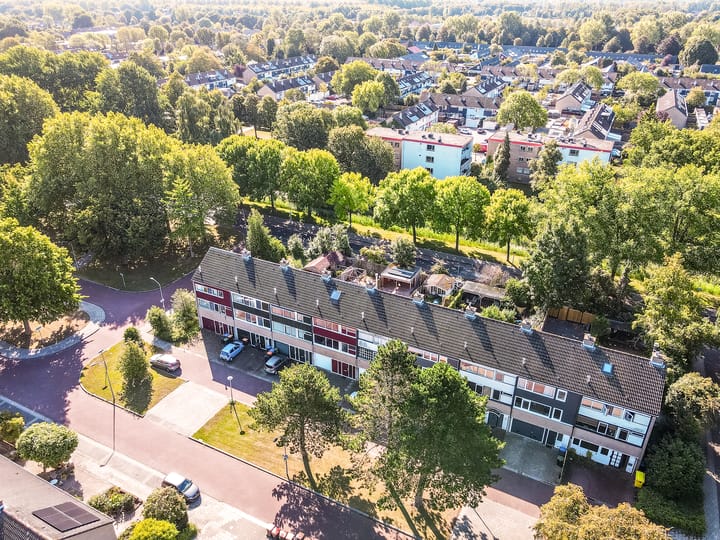 Foto 7 van Bongerd 4