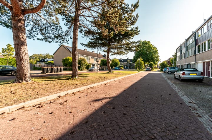 Foto 44 van Bongerd 4