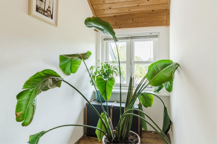 Foto 34 van Waalbandijk 114