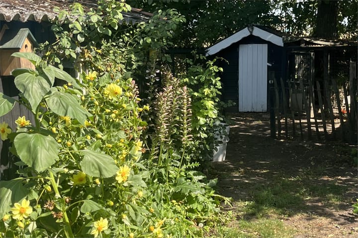 Foto 71 van Waalbandijk 114