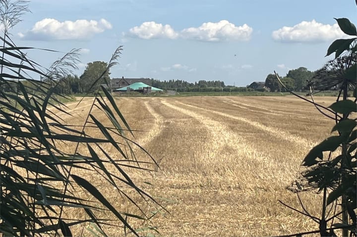 Foto 72 van Waalbandijk 114