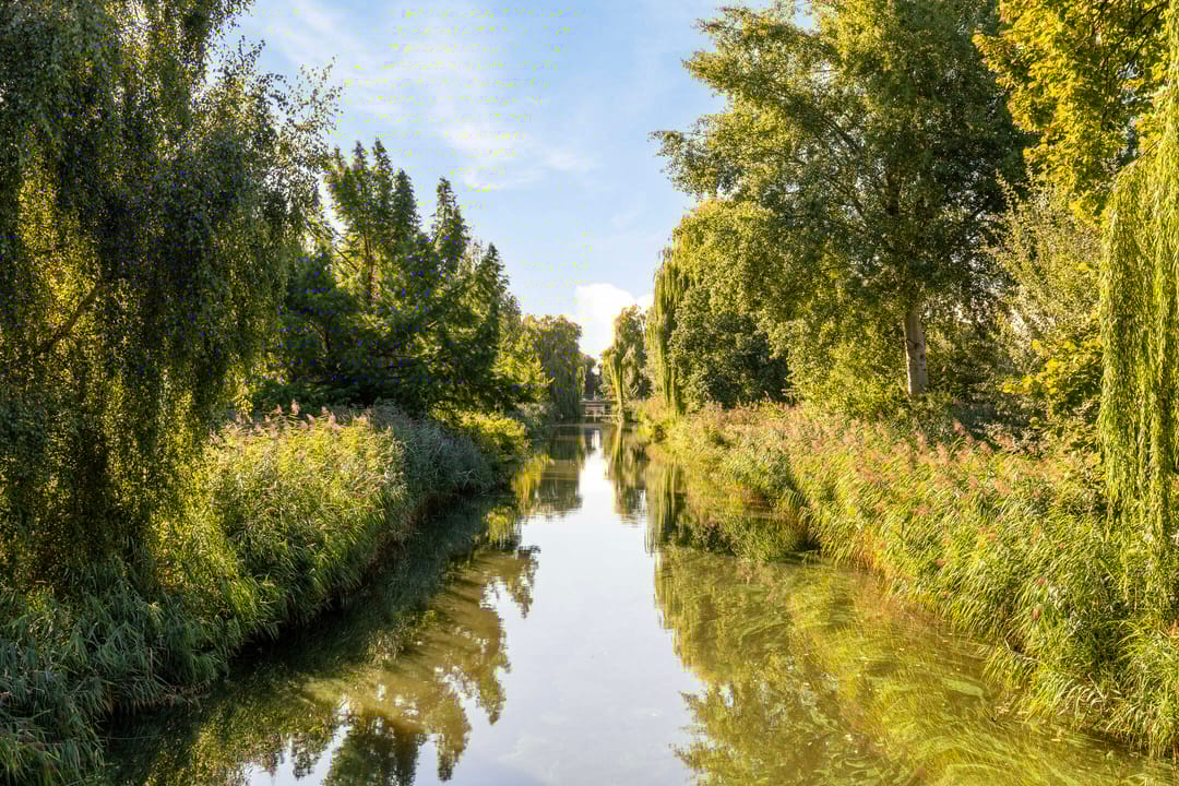 Foto 28 van Kapitein de Langestraat 160