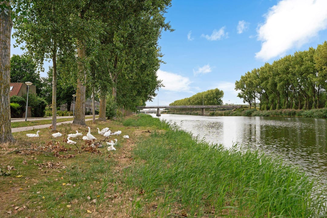 Foto 41 van Kreeftstraat 7