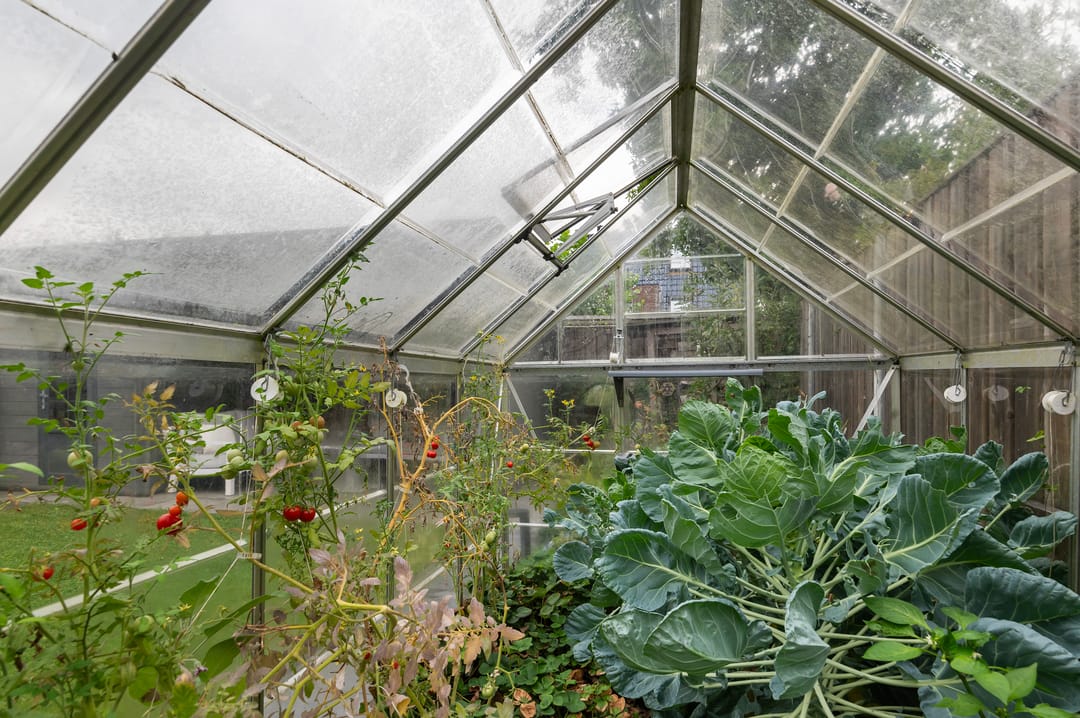 Foto 41 van Maria Zegwaart-de Korte erf 6