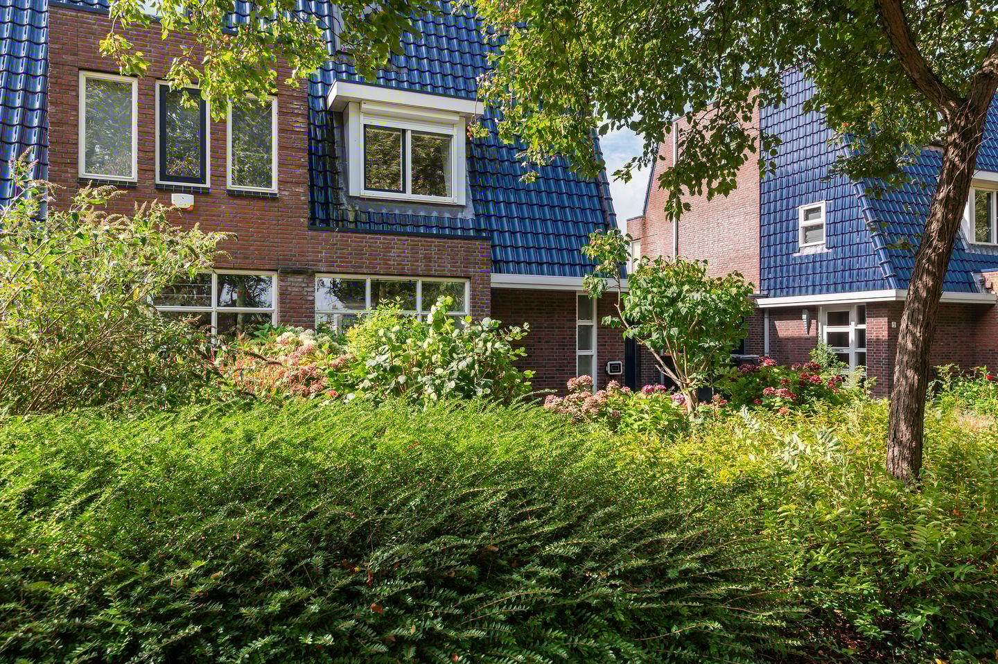 Foto 44 van Maria Zegwaart-de Korte erf 6