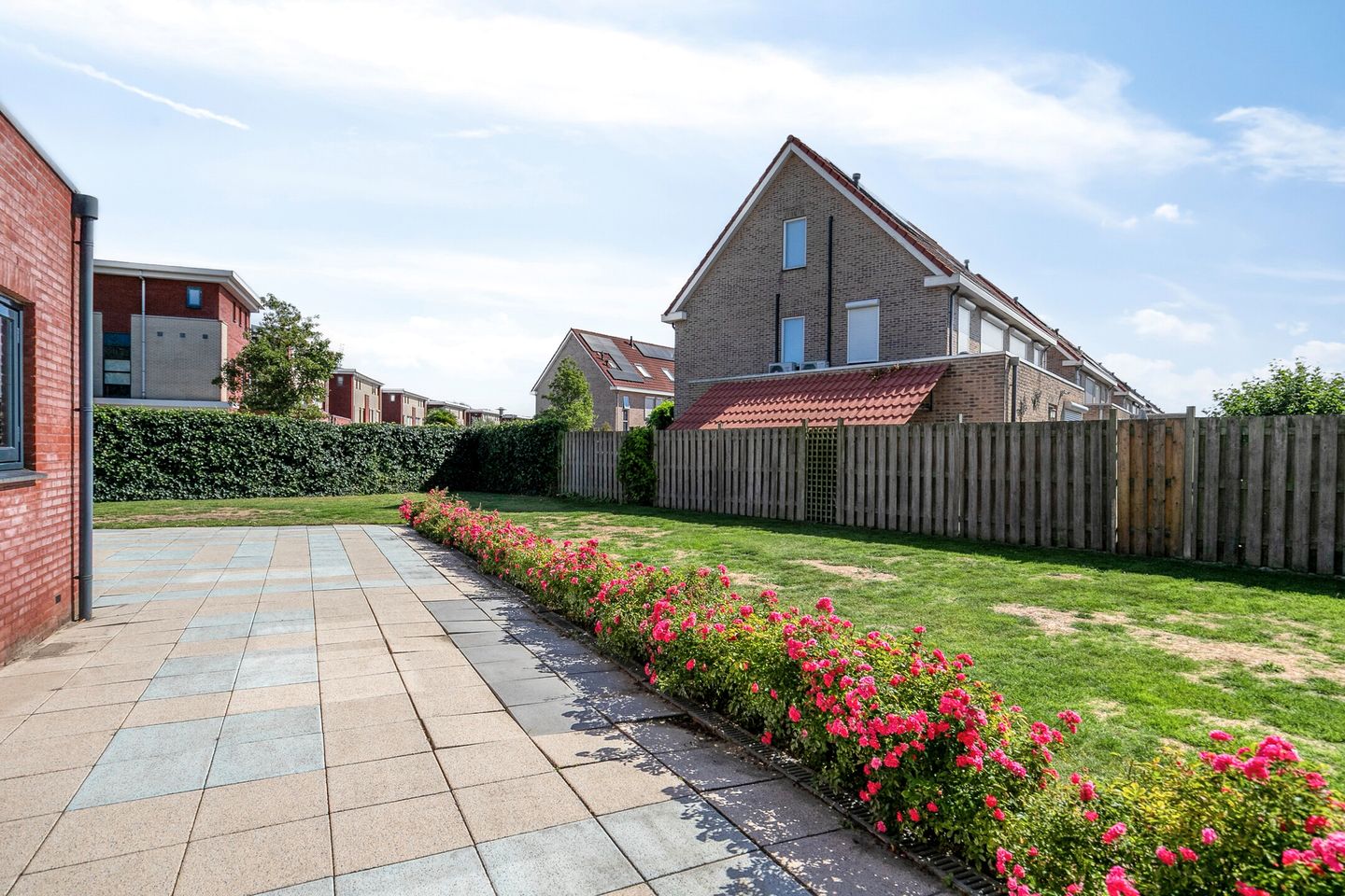 Photo 35 of Ooievaar 7