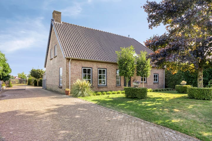 Photo 8 of Ruiter 21