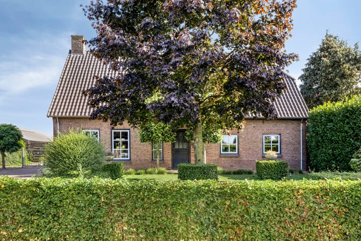 Photo 9 of Ruiter 21