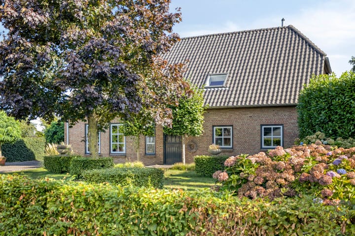 Photo 11 of Ruiter 21