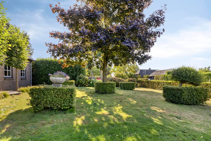 Photo 12 of Ruiter 21