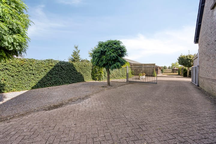 Photo 13 of Ruiter 21