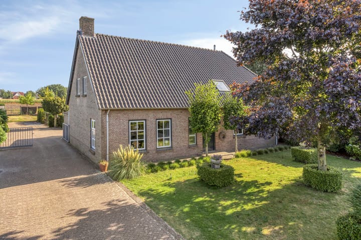 Photo 16 of Ruiter 21