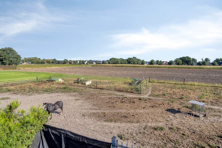 Photo 66 of Ruiter 21