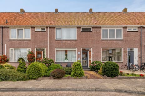 undefined main image