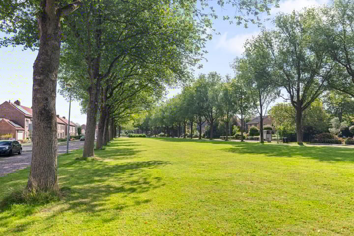 Foto 23 van Prof. Granpré Molièrestraat 8